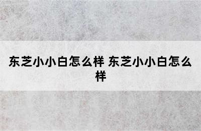 东芝小小白怎么样 东芝小小白怎么样